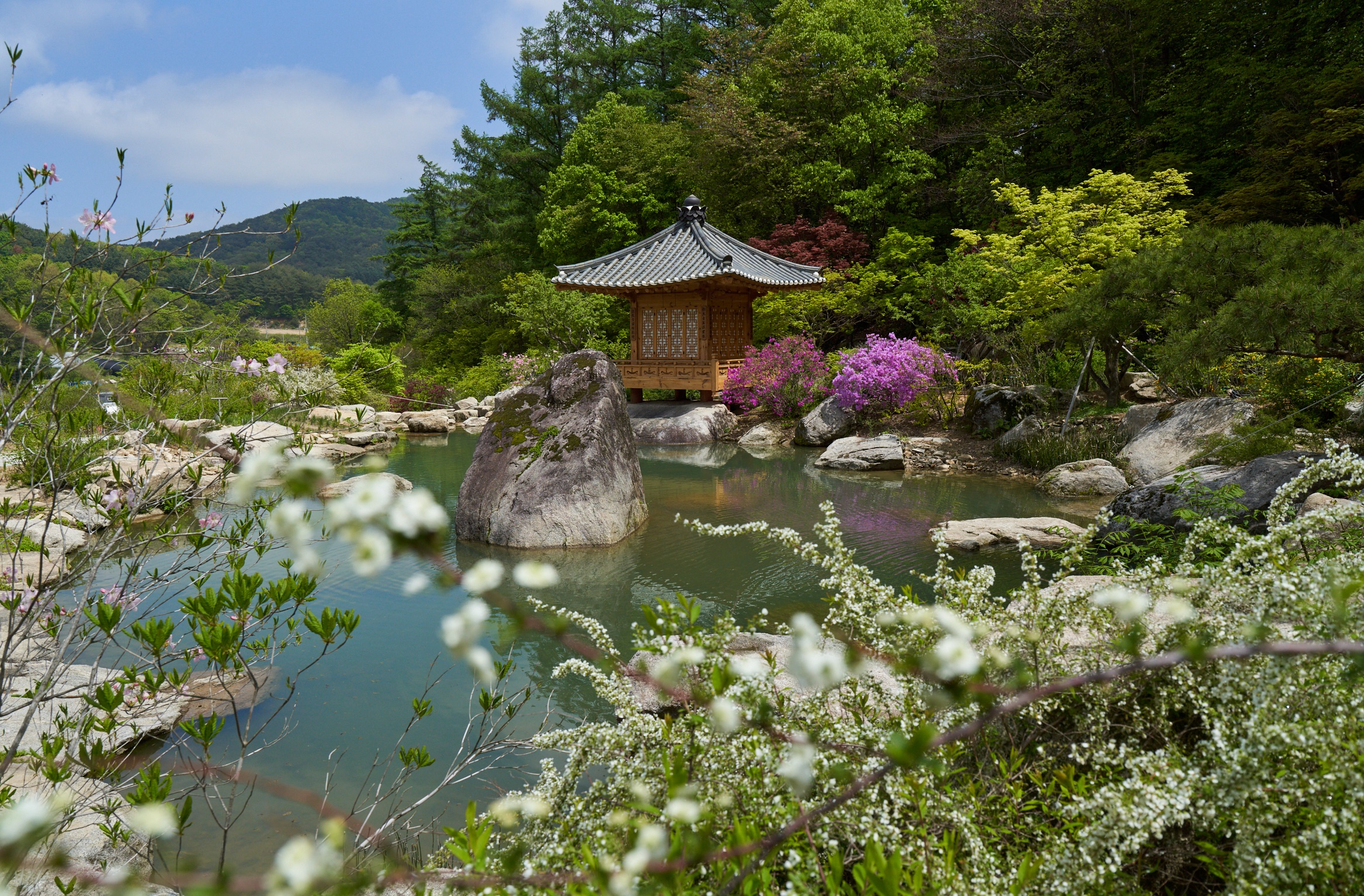 용반연의 봄